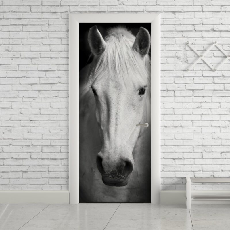 Cavalo Que Olha Para a Frente Imagem de Stock - Imagem de beleza, porta:  108436819