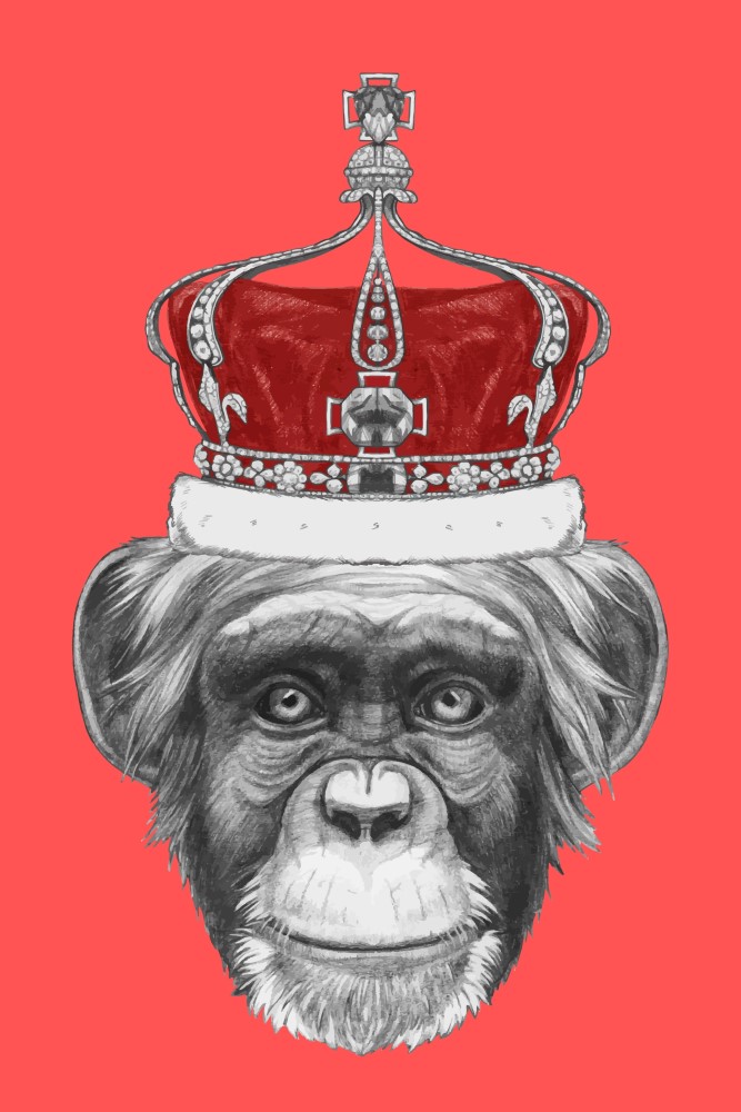 Placa Decorativa Infantil Macaco Desenho Marrom