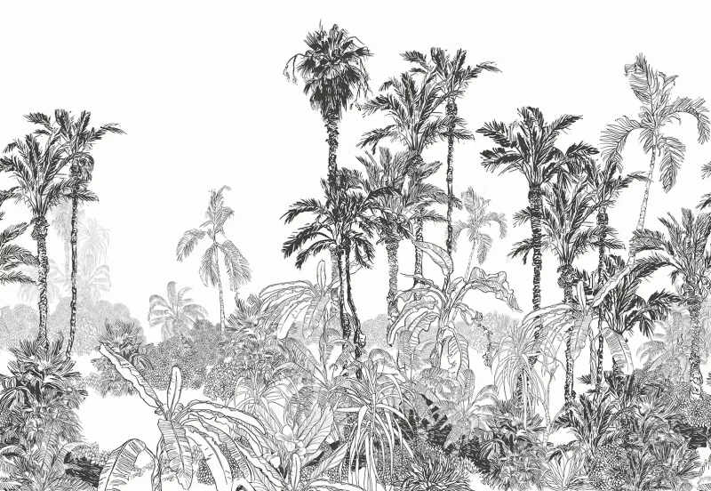 Painel Fotográfico Floresta Botânica