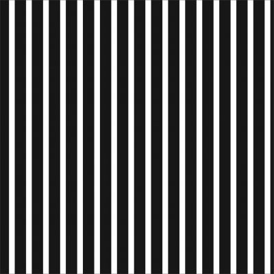 Papel de Parede Listrado Preto e Branco