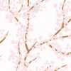 Papel de Parede Flores de Cerejeiras