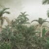 Painel Fotográfico Floresta Jungle