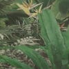 Painel Fotográfico Floresta Jungle