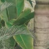 Painel Fotográfico Floresta Jungle