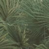 Painel Fotográfico Floresta Jungle