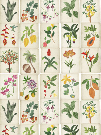 Papel de Parede Jardim Botânico