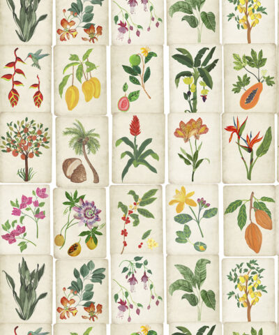 Papel de Parede Jardim Botânico