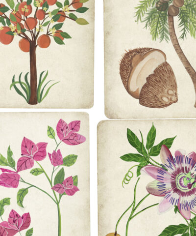 Papel de Parede Jardim Botânico