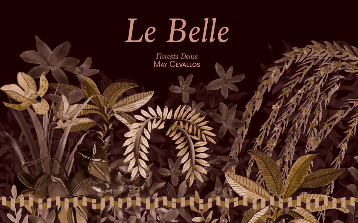 Book Le Belle