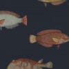 Papel de Parede Peixes Acquario