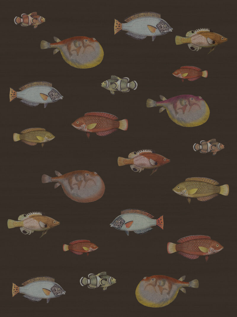 Papel de Parede Peixes Acquario