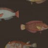 Papel de Parede Peixes Acquario