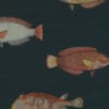 Papel de Parede Peixes Acquario