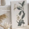 Quadro Lilium