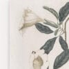 Quadro Lilium
