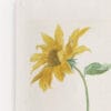 Quadro Tournesol
