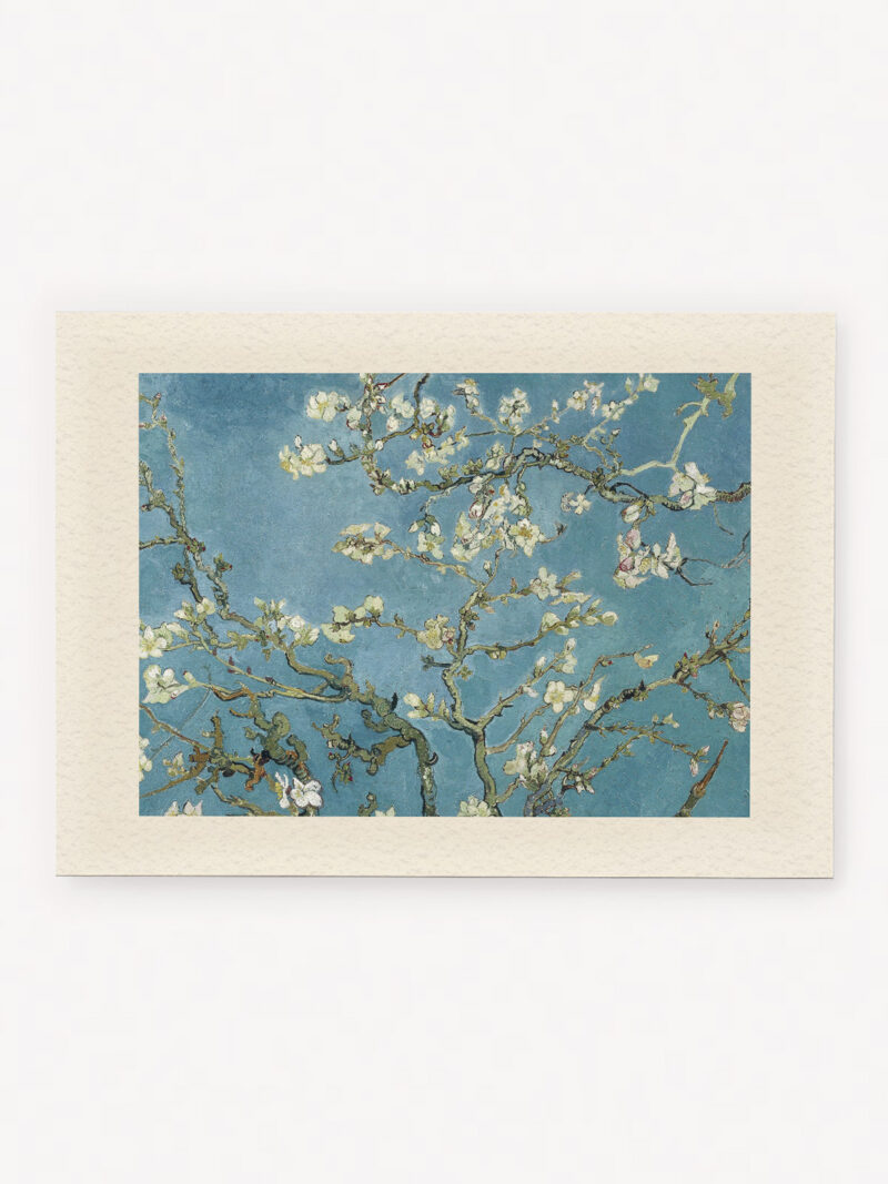 Quadro Blossom