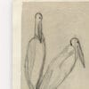 Quadro Oiseau
