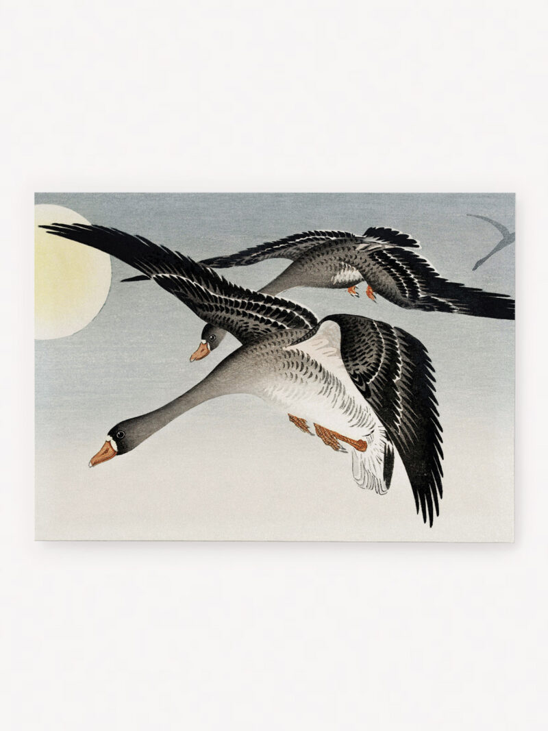 Quadro Birds