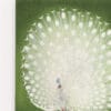 Quadro Ohara Koson Peacock
