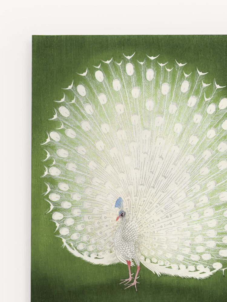 Quadro Ohara Koson Peacock
