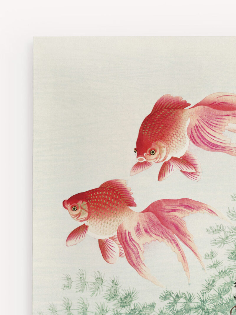 Quadro Ohara Koson Two Veil Goldfish