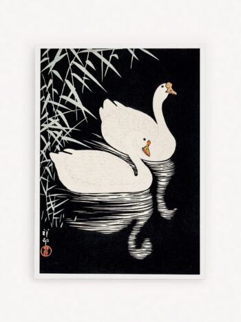 Quadro Swan