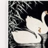 Quadro Swan