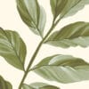 Papel de Parede Aromas do Campo
