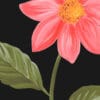 Papel de Parede Aromas do Campo