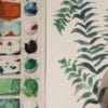 Papel de Parede Floresta Densa - Imagem 9