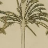 Painel Fotográfico Costaria