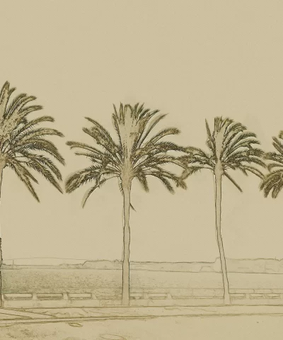 Painel Fotográfico Costaria