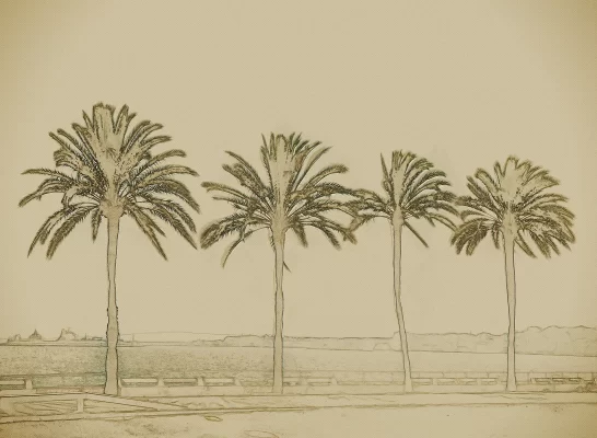 Painel Fotográfico Costaria