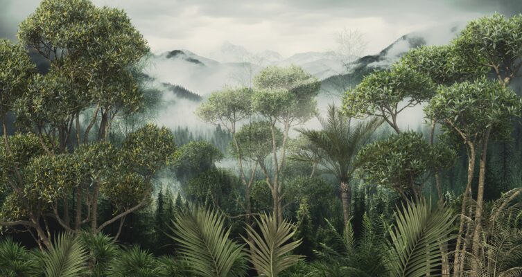 Painel Fotográfico Jardim Nebular