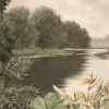 Painel Fotográfico Apuan