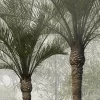 Painel Fotográfico Mundk