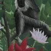 Painel Fotográfico Selva Viva