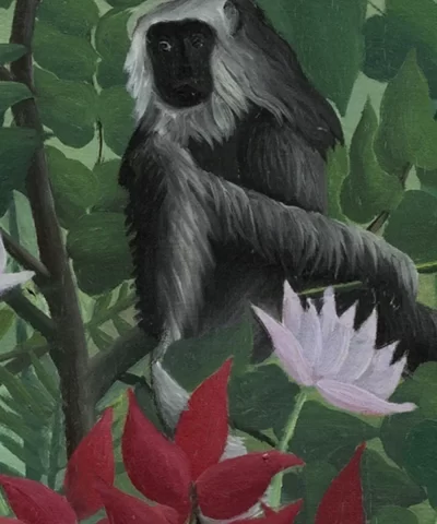 Painel Fotográfico Selva Viva