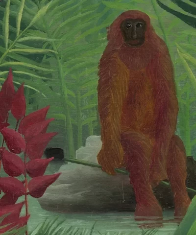 Painel Fotográfico Selva Viva
