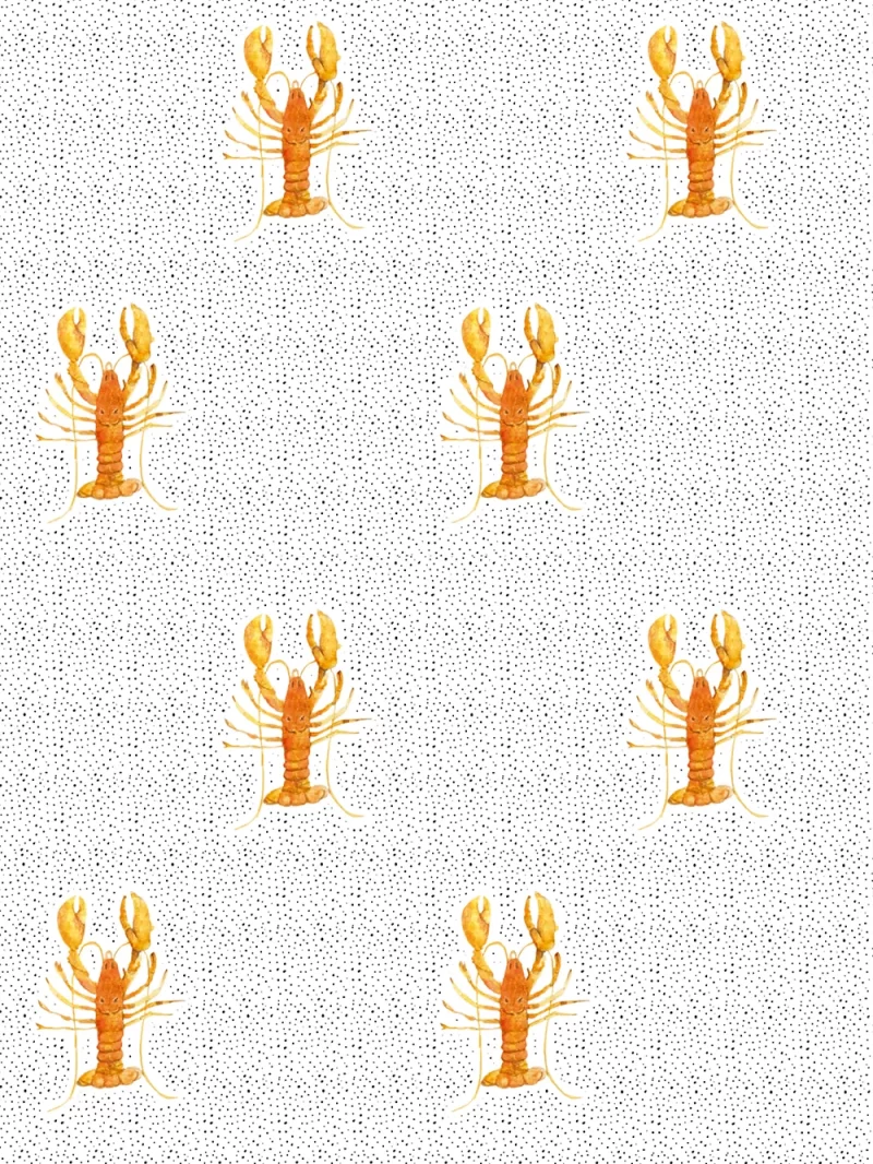 Papel de Parede Lagostin