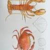 Papel de Parede Lagostin