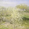 Painel Fotográfico Spring