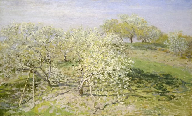 Painel Fotográfico Spring