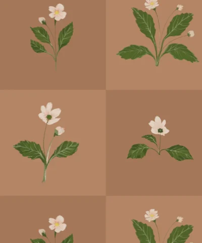Papel de Parede Square Flower Sienna