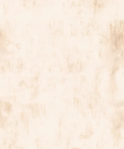Papel de Parede Bruma Off